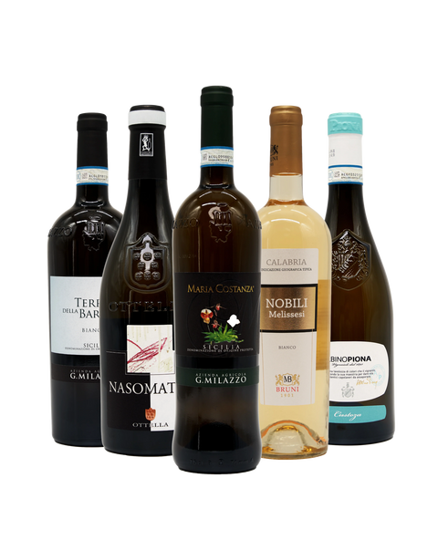 Probierpaket CHARDONNAY Weißwein